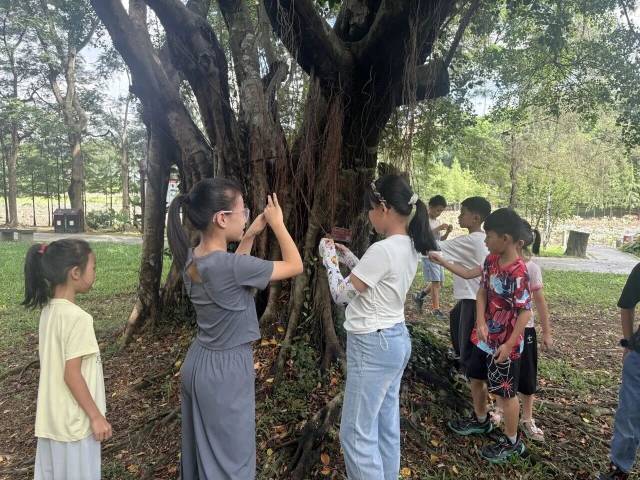 通讯员 大屏嶂森林公园 供图