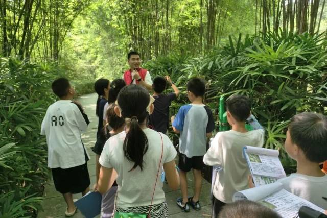 通讯员 大屏嶂森林公园 供图