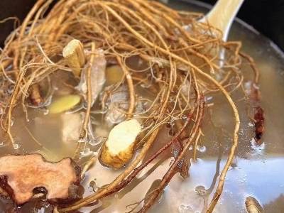 “五指毛桃+”构建从种苗到品牌的产业生态链 | 乡村创客东源秀⑤