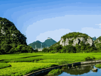 聚焦大湾区农交会｜