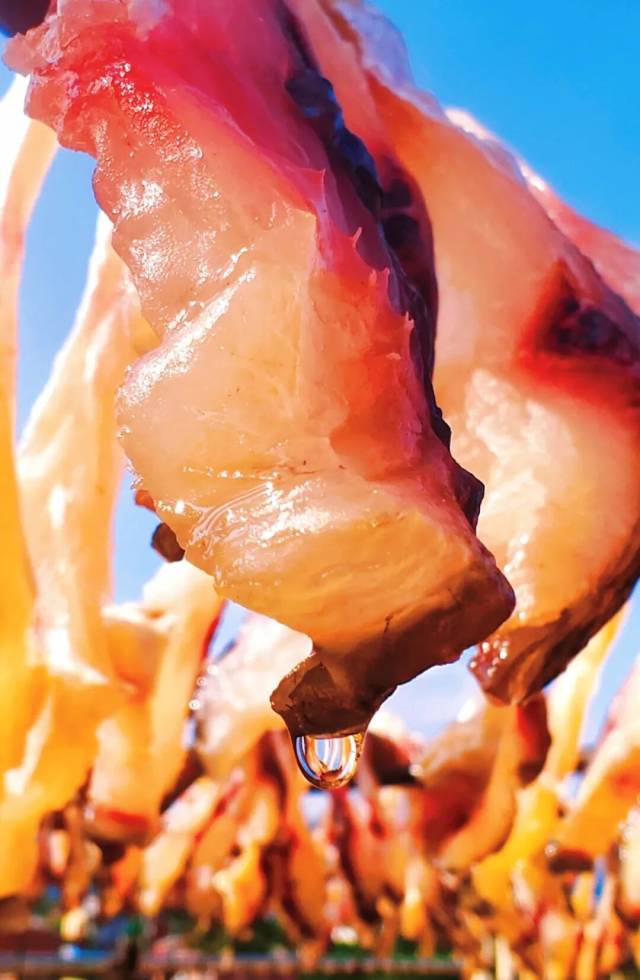 廣東肇慶大灣鯇魚干，每一絲肌理都泛著琥珀似的柔光。圖源：肇慶頭條 陳彥成 攝