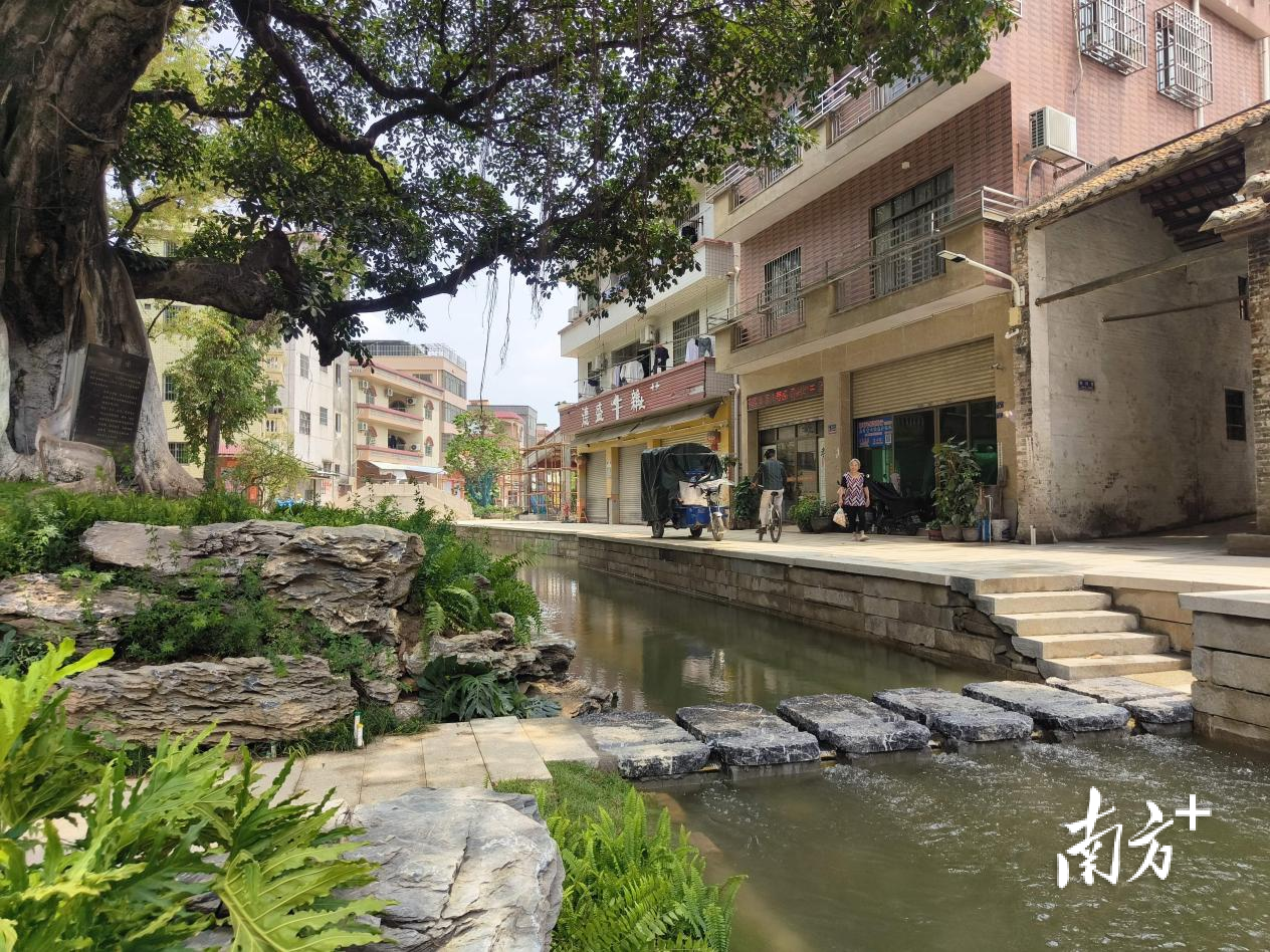 碧江社区村心涌是顺德区首条“揭盖复涌”的示范项目。佛山市顺德区以水兴城办供图 碧江社区村心涌是顺德区首条“揭盖复涌”的示范项目。佛山市顺德区以水兴城办供图