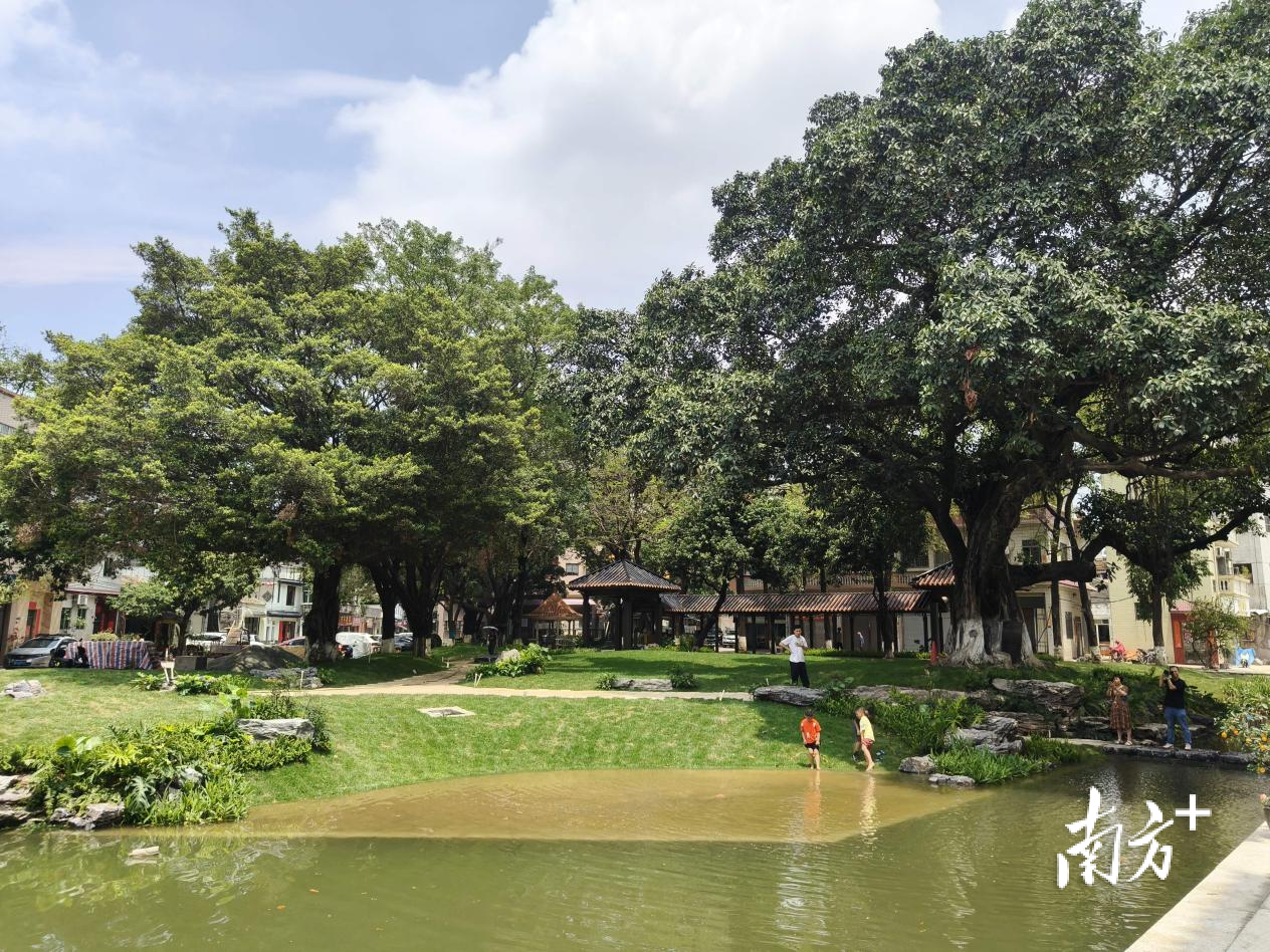碧江社区村心涌重塑了“推窗见景、开门亲水”的水乡图景。佛山市顺德区以水兴城办供图 碧江社区村心涌重塑了“推窗见景、开门亲水”的水乡图景。佛山市顺德区以水兴城办供图