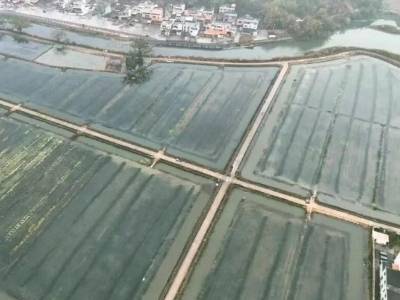 每一寸土地都迸发活力！韶关浈江陈江村蝶变“典型村落”