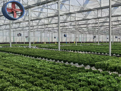 南海顺钢：一根农用管撑起现代农业“脊梁”｜隐形冠军 新质先锋⑭