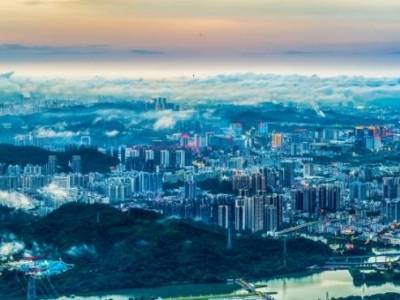 蕴商机、提品质…南湾“百千万”绘就高质量发展新图景