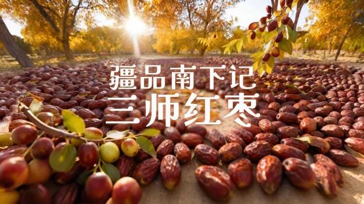 视频 | 疆品南下记：三师红枣