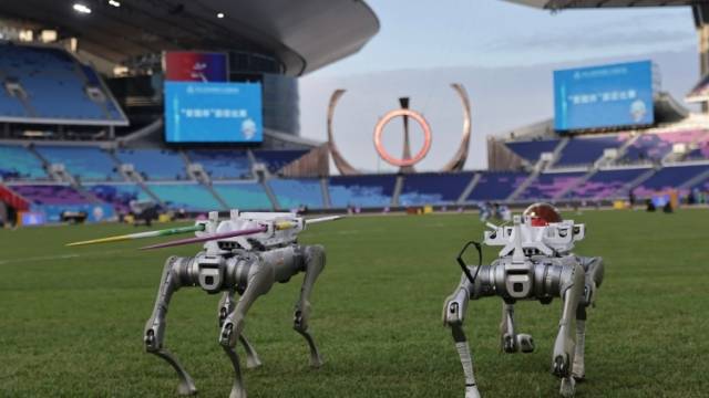 科技助力全运会！机器狗扛起田径长投项目搬运任务