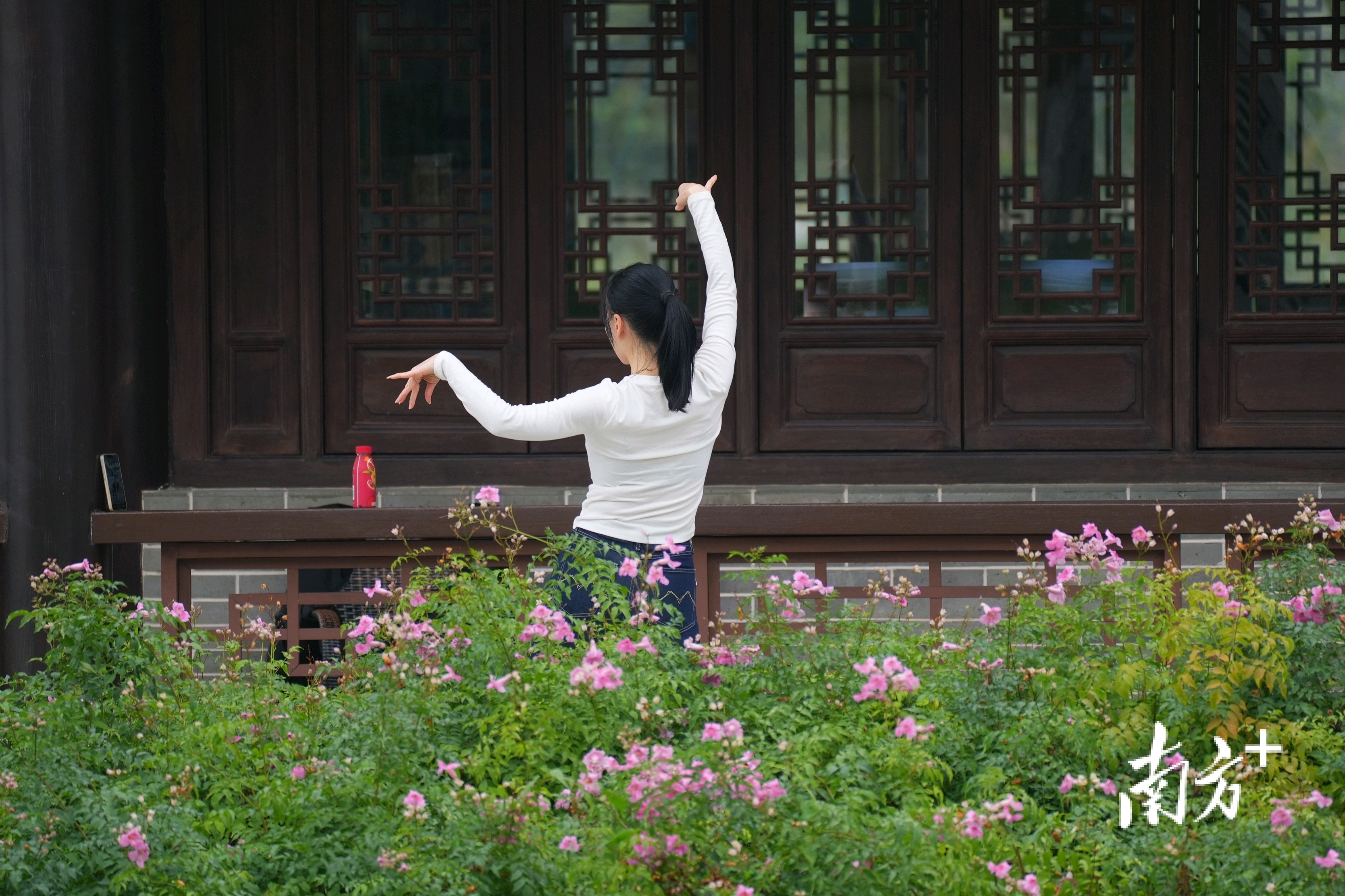 市民在鲜花中舞蹈。&nbsp;