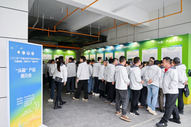  “头雁”教学成果展与产品展示会现场热闹非凡。