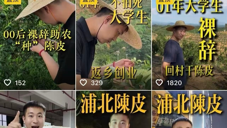 00后山东小伙扎根广西争当陈皮界“海贼王”：要让浦北陈皮香飘全国
