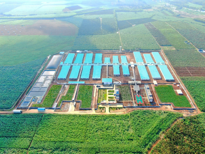 养猪产业大会见证荣耀！广垦畜牧邀您关注2025年种猪精液大赛