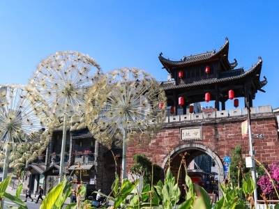 深圳这个古镇，农文旅融合发展经验为何入选省级典型？