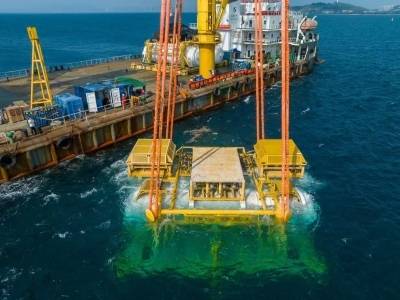 蒲定：在35米深蓝处，“种”下一朵节能云