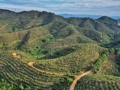 聚焦绿美广东，这场盛会将在梅州举行