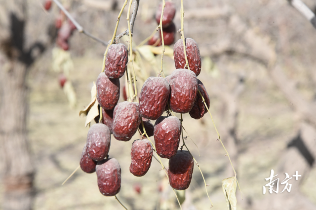 图源三师融媒体