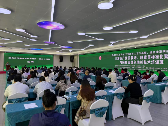 茂南百名农户集中“充电”学艺，破题甘薯产业“老难题”