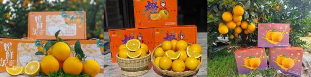 富川脐橙产品。