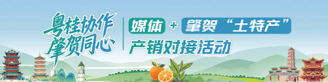 图集｜“肇”亮湾区，“贺”礼羊城