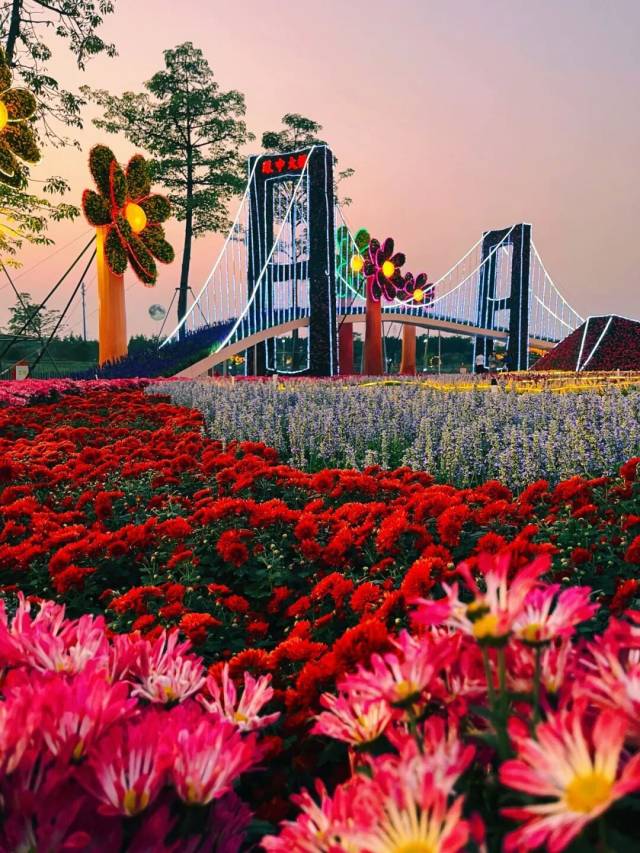 小欖菊花會上的大型造景伶仃宏波園，生動復刻深中通道這一意義非凡的世界級跨海集群工程。圖源：小欖菊花會 黎方清 攝