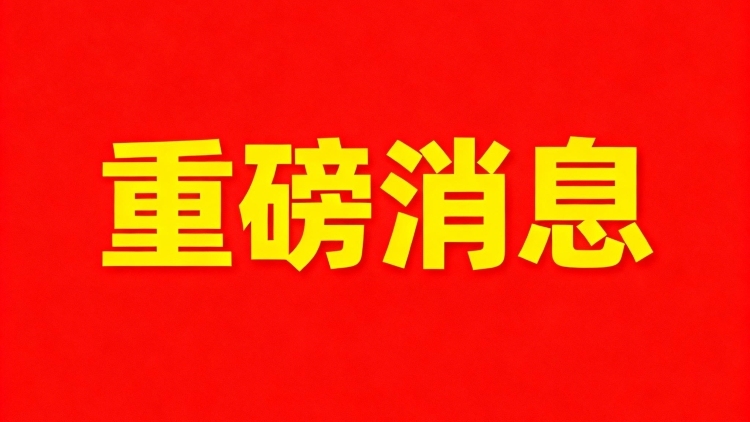 云城区委书记叶伟光到前锋镇调研第八届乡村美食（番薯）旅游季活动筹备情况