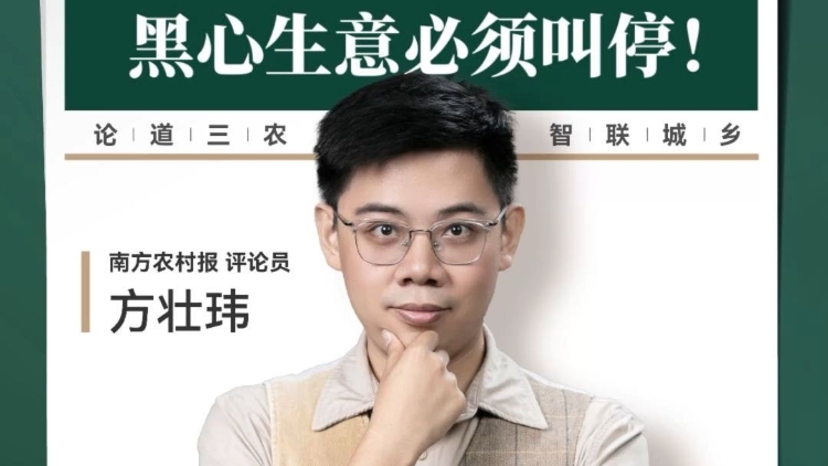 兴农评 | 养殖“杀人蜂”牟利，黑心生意必须叫停！