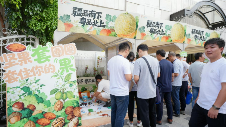 伽师珍品邂逅岭南风情，沙面岛上飘起“新梅香”