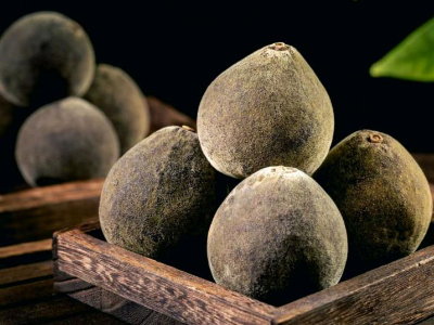 重磅剧透！2025南药食养大会有哪些宝藏南药？