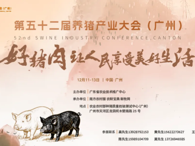 大湾区喊全国人民吃好猪肉！