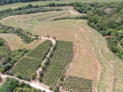 生态鸡分红、农业基地扩绿，深汕帮扶为陆河新田镇添动力