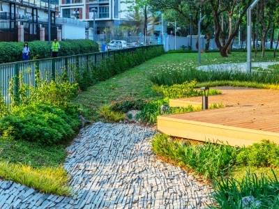 走读罗湖“百千万工程”④｜沿爱国路，在4个社区公园打开“生活美学指南”