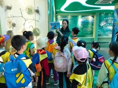 星湖湿地讲解员洪莉莉：做自然的“翻译官”