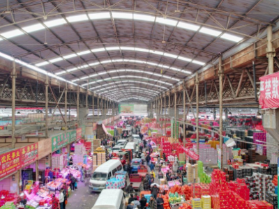 聚焦大湾区农交会｜“媒体+”见证：四十年农批路，千帆竞发启新程