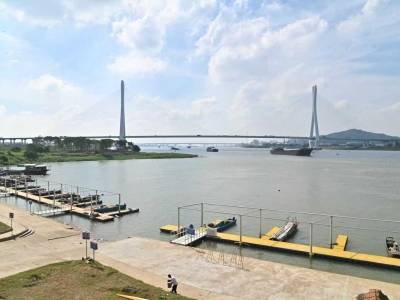 观三水｜“韧性”白坭，冲刺未来