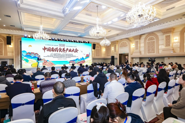 2025年中国南药食养产业大会专题研讨环节。