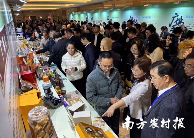 2025年中国南药食养产业大会期间，与会领导嘉宾现场了解广东三宝等南药展陈。