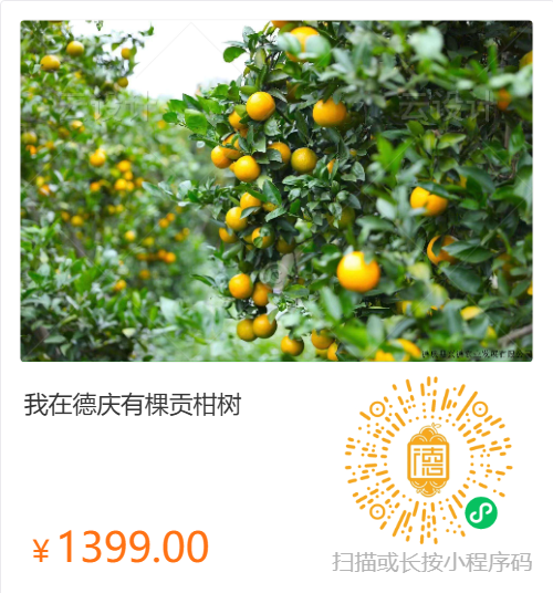 2025年“我在德庆有棵贡柑树”认养活动已经正式启动。