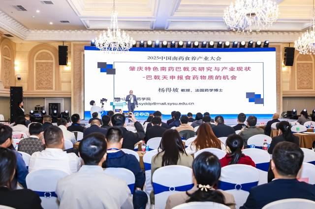 专题研讨环节，专家学者为南药产业发展出谋划策。