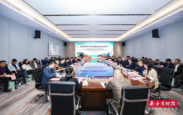肇庆市南药产业发展座谈会现场。