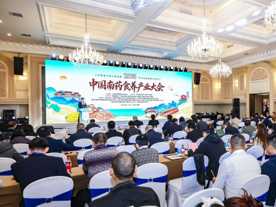 顶尖专家学者齐聚肇庆，共商南药食养产业发展新路径