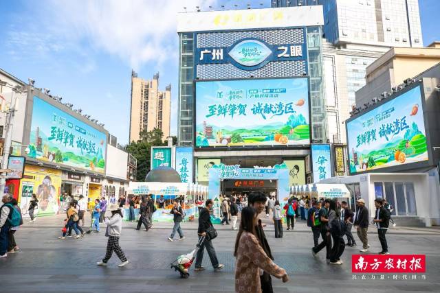 肇庆、贺州“土特产”广告在北京路户外大屏播出。