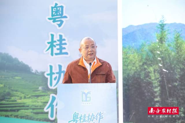 贺州市昭平县委常委、副县长黄捷推介昭平茶。