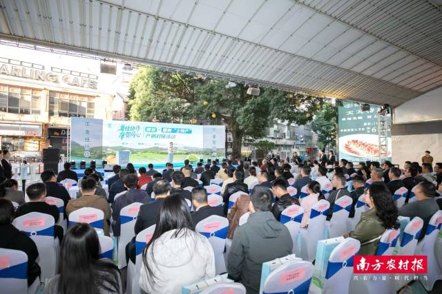 160多家粤港澳大湾区采购商与行业代表参加活动。