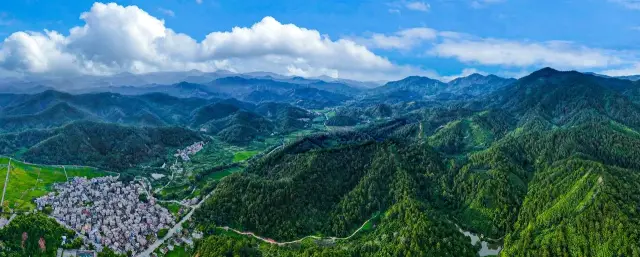 ?高要区是“中国肉桂名县”,北部山区满山遍野种植的都是肉桂树,肉桂产业基础良好。 赖家乐?摄 ?高要区是“中国肉桂名县”,北部山区满山遍野种植的都是肉桂树,肉桂产业基础良好。 赖家乐?摄
