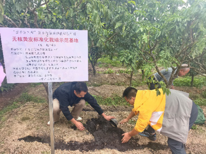 刘义军示范施肥。