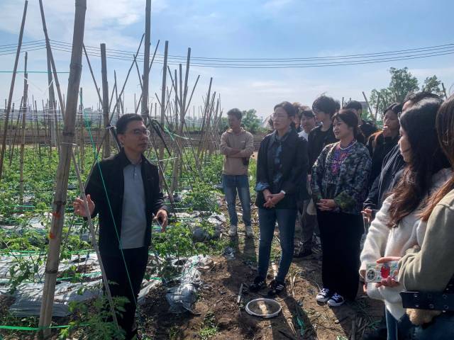 张庭瑞（左一）向湛江科技学院团队介绍界炮镇圣女果产业发展情况。