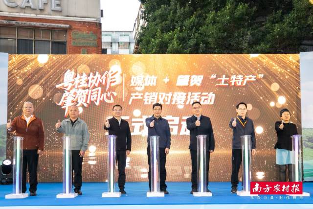 11月21日，“粤桂协作·肇贺同心”媒体+肇贺“土特产”产销对接活动启动。