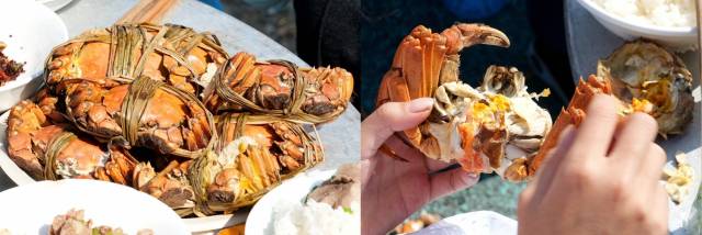 现场举行的百人品蟹直播活动。