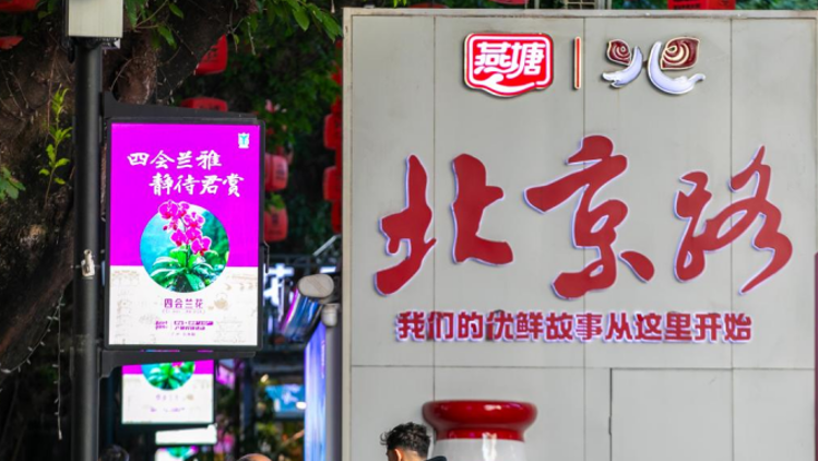 图集｜“肇”亮湾区，“贺”礼羊城