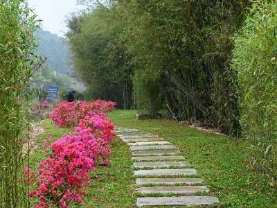 山海连城、绿美深汕：为绿色低碳城市注入强劲动能